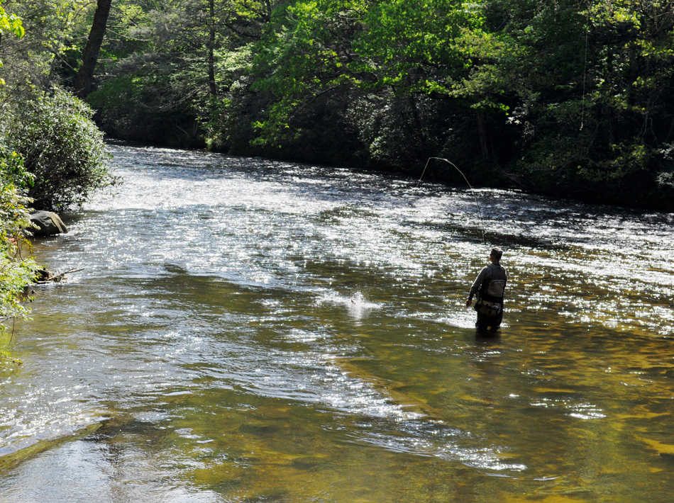 Trout & Fly Fishing Highlands NC